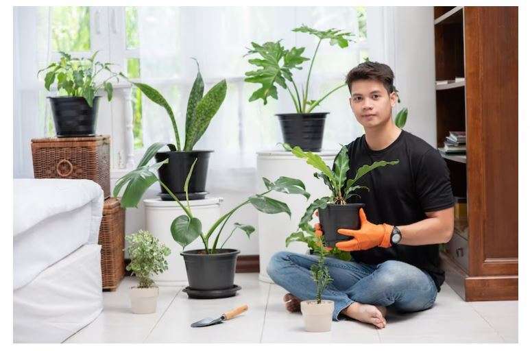 10 Tips para decorar la habitación principal de tu vivienda 9 decorar habitación principal con plantas