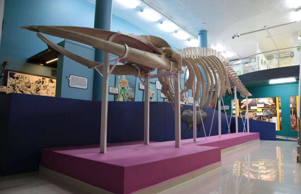 Museo de Ciencias Naturales de La Salle - Medellín