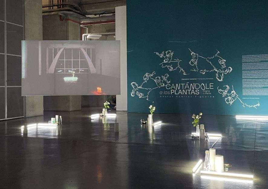 Museo de Arte Moderno - Medellín
